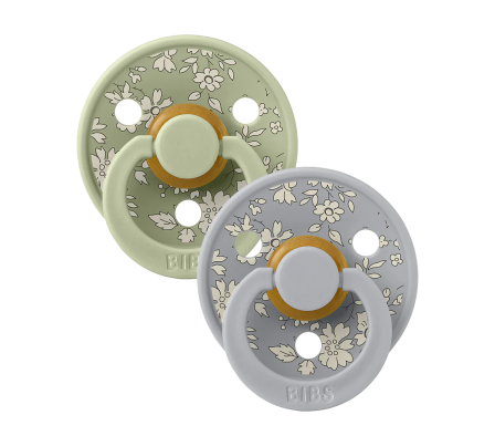 Bibs Chupete Colour Sage Mix 0/6M 2 Unidades