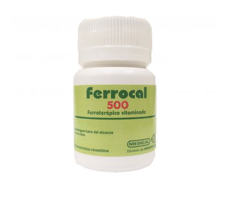 Ferrocal 500 - 20 Comprimidos